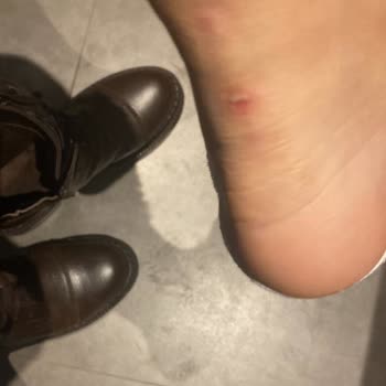 Marjin Ayakkabı'dan Alınan Bot