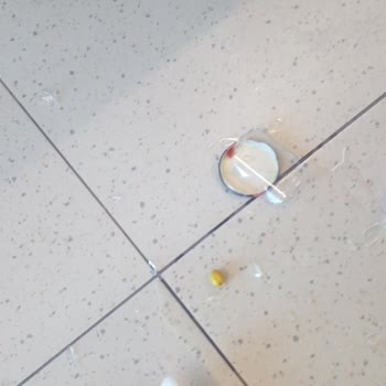 A101 Kalitesiz Poşetler Ve İlgisiz Hizmet