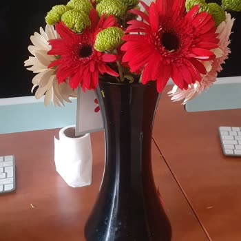 Çiçek Sepeti Satın Aldığım Çiçeklerden Farklı Çiçekler Teslim Edildi