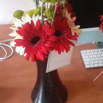 Çiçek Sepeti Satın Aldığım Çiçeklerden Farklı Çiçekler Teslim Edildi