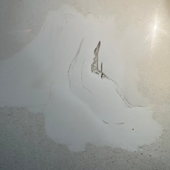 Martı Mobilet Aracıma Zarar Verdi