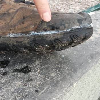 Weynes Shoes Weynes Erkek Bot