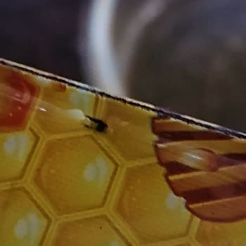 Aras Kargo Ürünüme Zarar Verildi