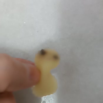 Nuh'un Ankara Makarnası Makarnada Şaşırtan Kirlilik!