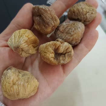İncir Cenneti Değil, Cehennemi Adeta