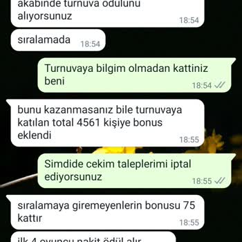 Misliwin Kazandırıp Vermeyen Site Hayal Kırıklığı