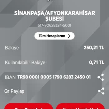 Ziraat Bankası Kullanılabilir Bakiye Sorunu