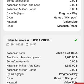 Betvole Tüm Paramı Casinoda Sıfırladılar