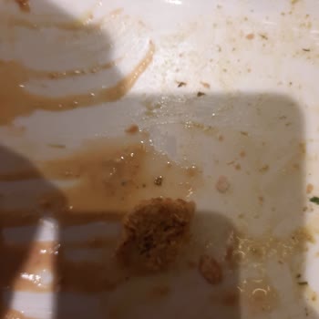 Tavuk Dünyası Yemekten Kemik Çıktı Ve Tavuk Yok Denecek Kadar Azdı