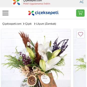 ÇiçekSepeti Ürünün Söylenildiği Şekilde Gelmemesi