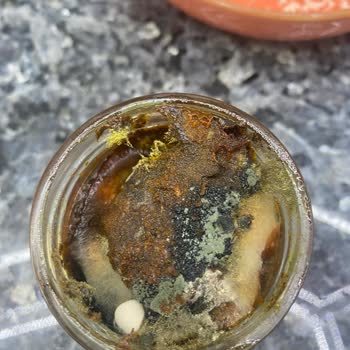 Yemeksepeti Market Hijyenik Değildir Küflü Ürün Gönderiyor