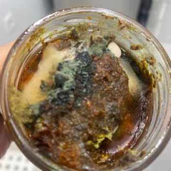 Yemeksepeti Market Hijyenik Değildir Küflü Ürün Gönderiyor