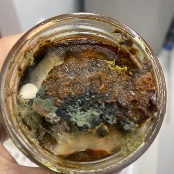 Yemeksepeti Market Hijyenik Değildir Küflü Ürün Gönderiyor