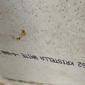 Belenco Mermer'de Çatlak Ve Renk Solması