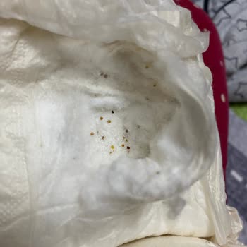 Sleepy Ecologic Sorunlu Bez