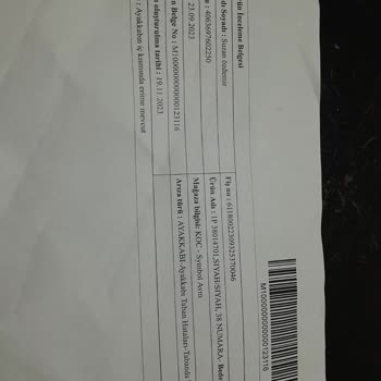 Puma Spor Ayakkabısının Değişimi