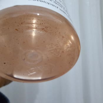 Facelab Markasının Toniklerinde Oluşan Mikroorganizmalar