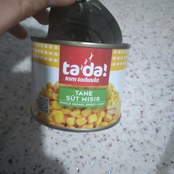 Tada! Gıda Güvenliğinde Şaşırtan Sinek!