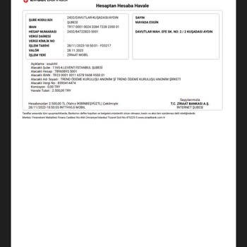 Payguru Şirketin Hesabınıza Yanlışlıkla Para Gönderdim