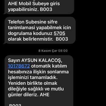 Anadolu Hayat Emeklilik Param Hesaba Hala Yatmadı