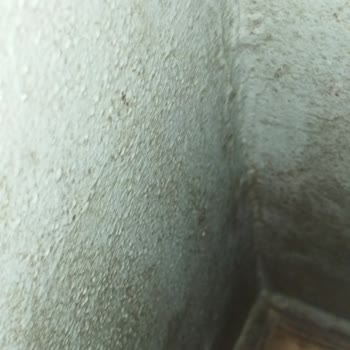 e-Devlet (Turkiye.gov.tr) Sosyal Yardımı Kestiler