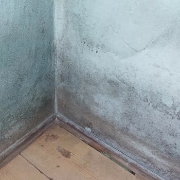 e-Devlet (Turkiye.gov.tr) Sosyal Yardımı Kestiler