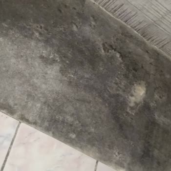 e-Devlet (Turkiye.gov.tr) Sosyal Yardımı Kestiler