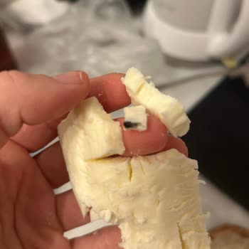 Gazi Bey Süt Çiftliği Gazi Bey Tam Yağlı Tost Peynirinden Sinek Çıktı