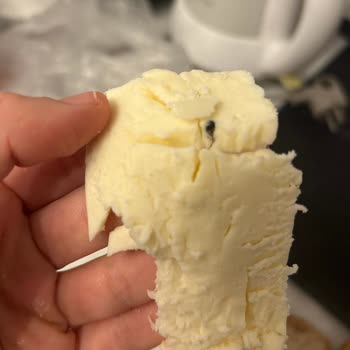 Gazi Bey Süt Çiftliği Gazi Bey Tam Yağlı Tost Peynirinden Sinek Çıktı