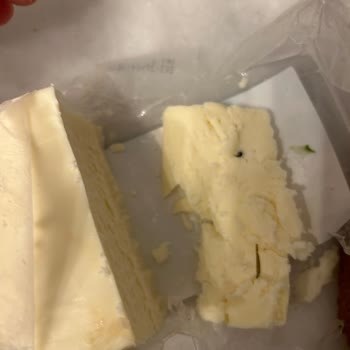 Gazi Bey Süt Çiftliği Gazi Bey Tam Yağlı Tost Peynirinden Sinek Çıktı