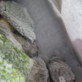 Bosch Buzdolabı Buzluğun Buz Yapması