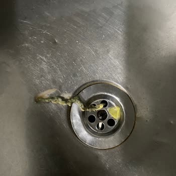 Dooy Küflü Meyve Suyu