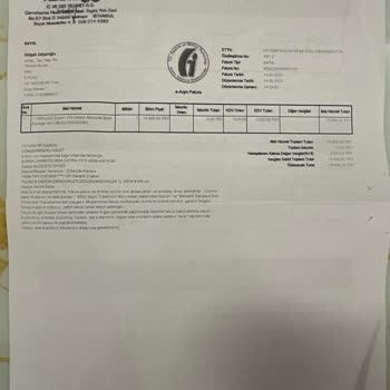 Dyson Batarya Şarj Sorunu