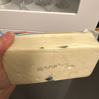 Gölcük Hakmar Küflü Peynir