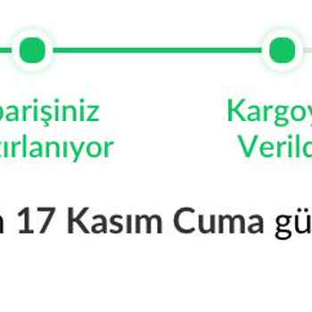 Aras Kargo Siparişim 12 Gündür Elime Ulaşmadı.