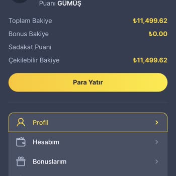 Bettilt Para Çekme Sorunu