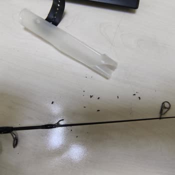 Amazon Kırık Kamış Hayal Kırıklığı