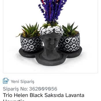 Osevio.com Çiçek Siparişimin Zamanında Ulaşmaması.