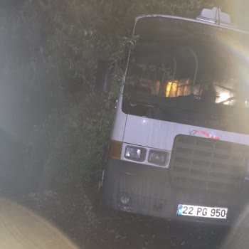TREDAŞ Ağaç Devrilmesi Sonucu Elektrik Yok