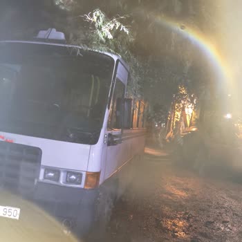 TREDAŞ Ağaç Devrilmesi Sonucu Elektrik Yok