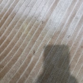 Cemre Halı Yıkama (Eskişehir) Halılar Lekeli Geldi!