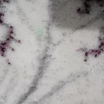 Cemre Halı Yıkama (Eskişehir) Halılar Lekeli Geldi!