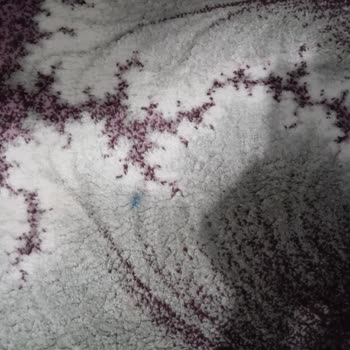 Cemre Halı Yıkama (Eskişehir) Halılar Lekeli Geldi!