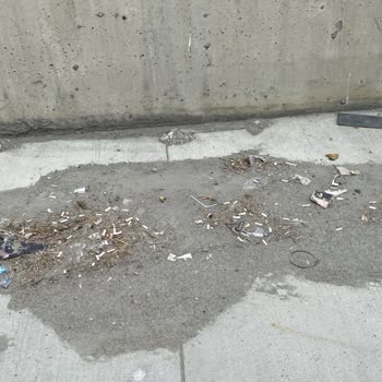 Esenyurt Belediyesi Çöp Kirliliği Hk.