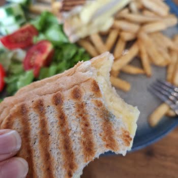 Uğurmumcu Mado Küflenmiş Tost