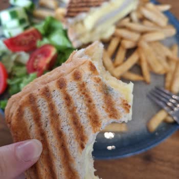 Uğurmumcu Mado Küflenmiş Tost