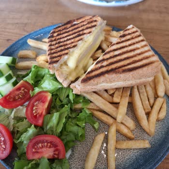 Uğurmumcu Mado Küflenmiş Tost