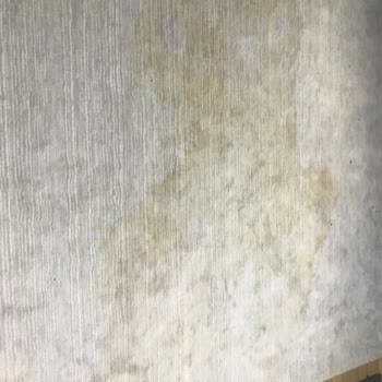 Kocaeli Darıca Bölgesinde Hizmet Veren Çınar Halı Yıkama