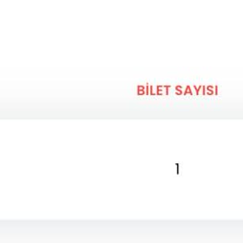 Biletalsat.com Biletim Teslim Edilmedi
