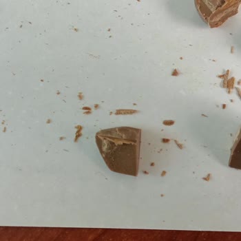 İstanbul Borsa Kuruyemiş Kurtlu Ürün Satılıyor